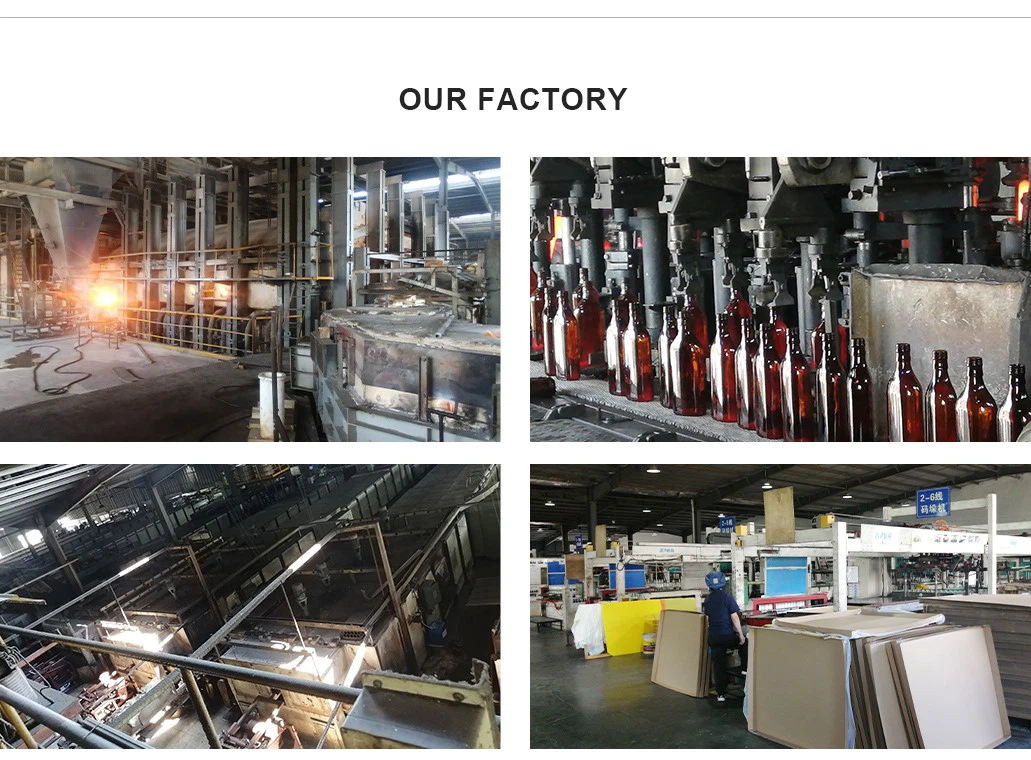 Factory visit of HZ bottle 002 Factory visit of HZ bottle 002